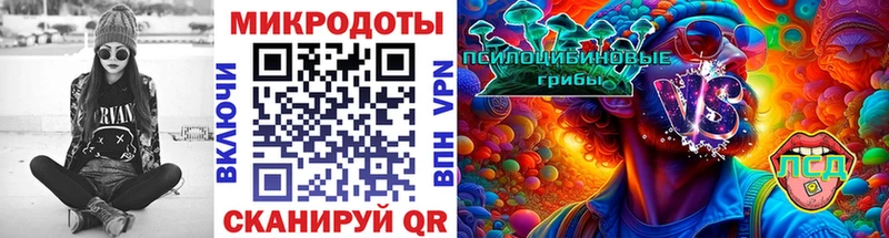 Галлюциногенные грибы Psilocybe Чухлома